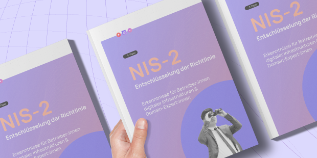 NIS-2 Blog-Artikel auf Domain Name Wire | Cover Image E-Paper